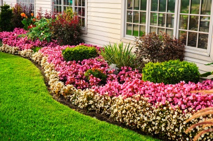 How To Maximize Your Yard Space