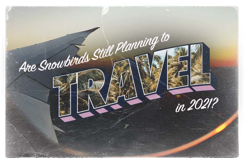 "Are Snowbirds Still Planning to Travel in 2021?" text over a plane wing in the style of a post card