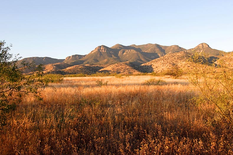 Desert scene from Fort Huachuca Military base in Southern Arizona