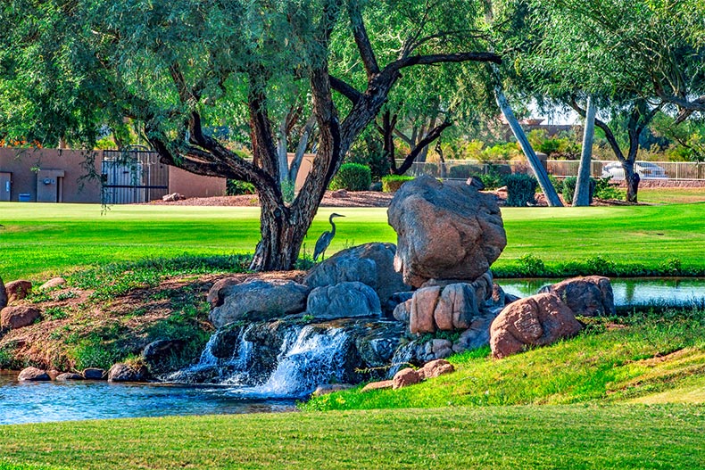 A crane standing beside a stream on a sunny day in Sunland Springs Village in Mesa, Arizona