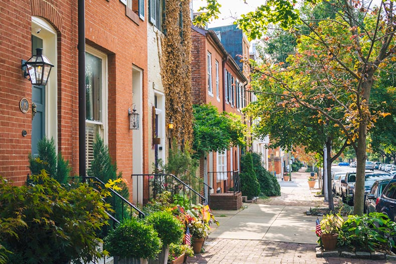 Row houses and potted plants along a street in the Federal Hill neighborhood of Baltimore, Maryland