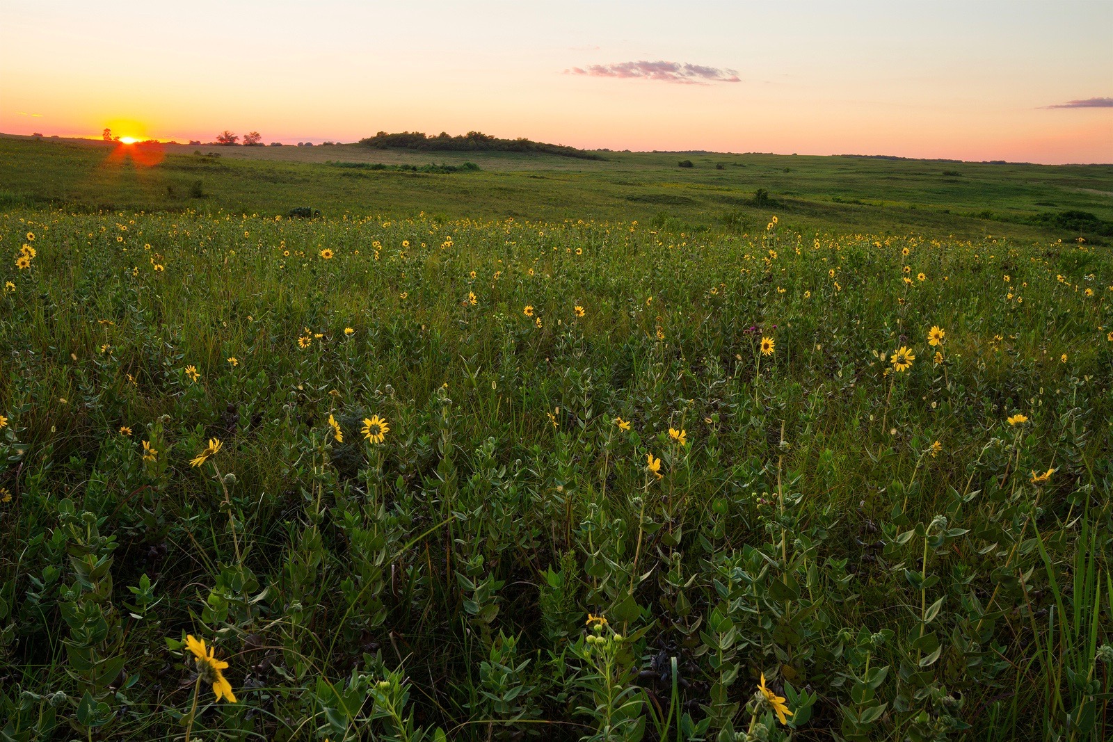 The midwest is full of many great communities that offer a multitude of activities and amenities.