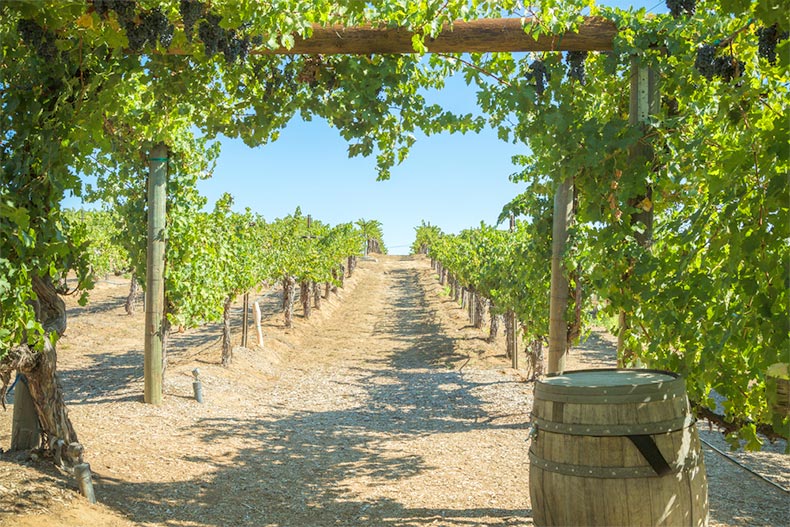 Blue sky over a winery in Temecula Valley, California