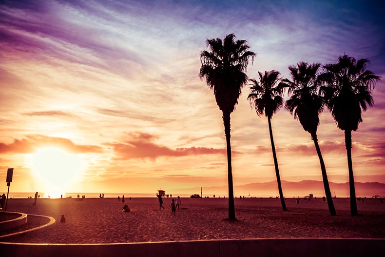 Sunset view of Venice Beach with palm trees and beachgoers