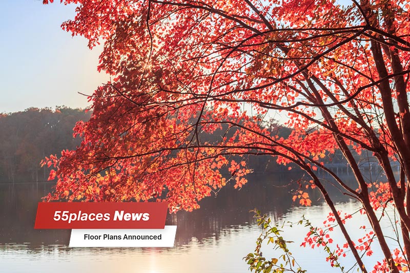 Red maple leaves beside Lake Johnson in Raleigh, North Carolina during the fall