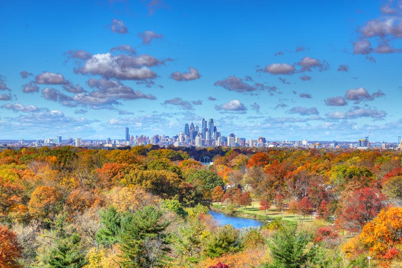 The Philadelphia skyline in the distance over a forest of fall colors