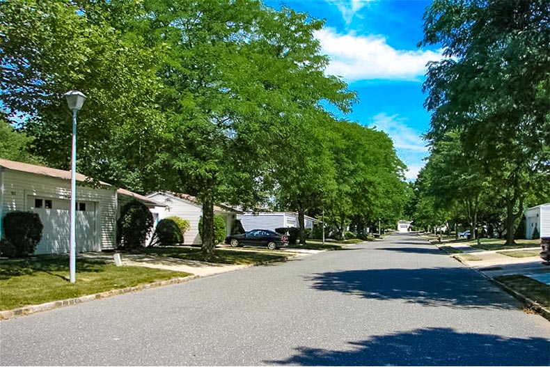 tree-line street in clearbrook in new jersey
