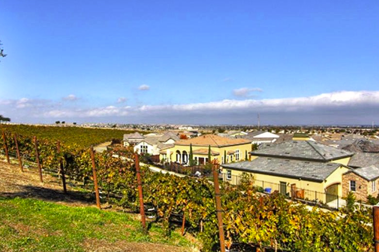 A view of The Vineyards in Brentwood, CA.