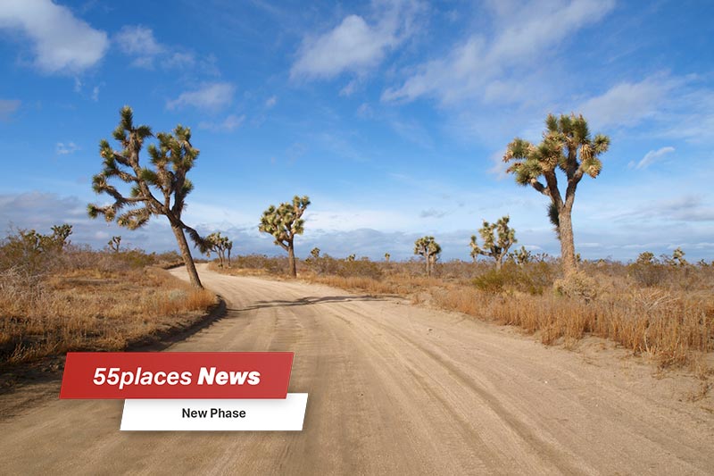 "New Phases" banner over Joshua Trees framing a dirt road in California's Mojave Desert