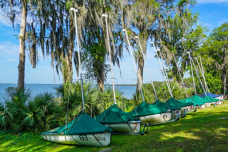 Sailboats lined up beside trees with Spanish moss near Lake Eustis in Florida
