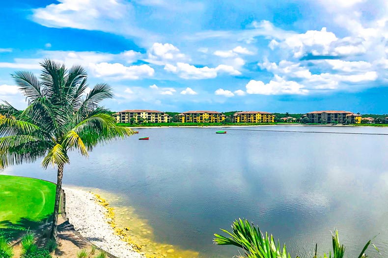 Condo buildings at the edge of a picturesque pond at Bonita National Golf & Country Club in Bonita Springs, Florida