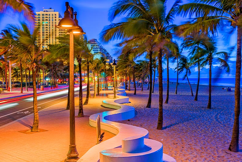 Palm trees dotting a sidewalk and beach in Fort Lauderdale, Florida at night. A white wavy bench splits the photo