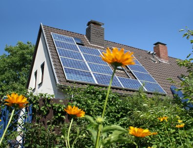 green housing tips Green Housing