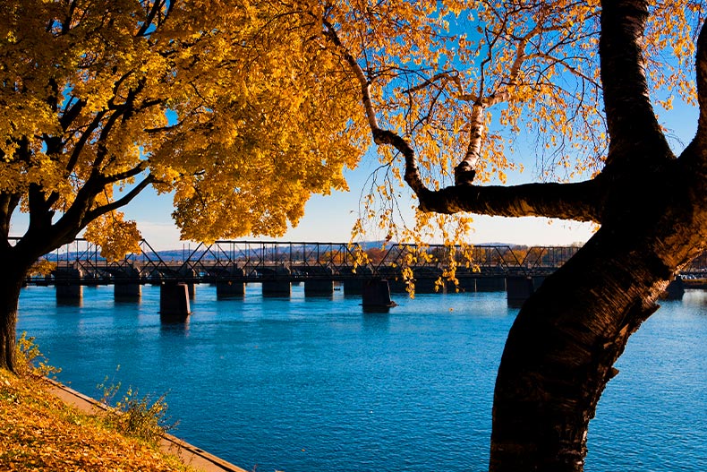 View between autumn trees of a bridge along Susquehanna River in Harrisburg, Pennsylvania