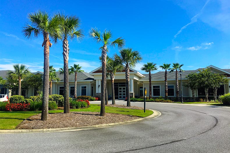 View of a street lined with palm trees leading to a clubhouse at Sun City Hilton Head in Bluffton, South Carolina