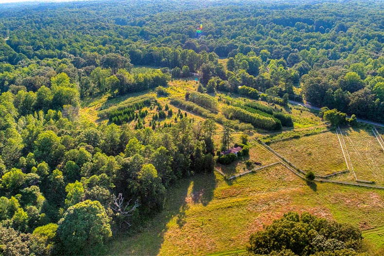 Aerial view of a forest and farm surrounding The Farm at Ingleside in Iron Station, North Carolina