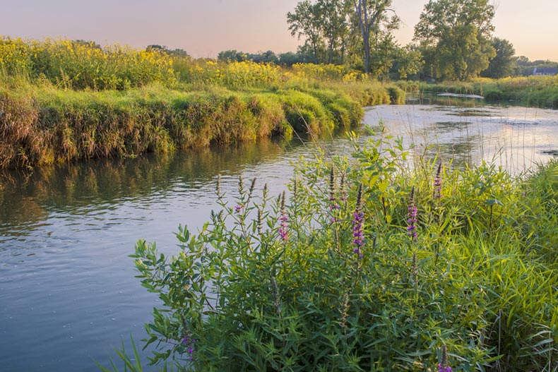 Nippersink Creek flowing through a grassland at Glacial Park in McHenry County, Illinois