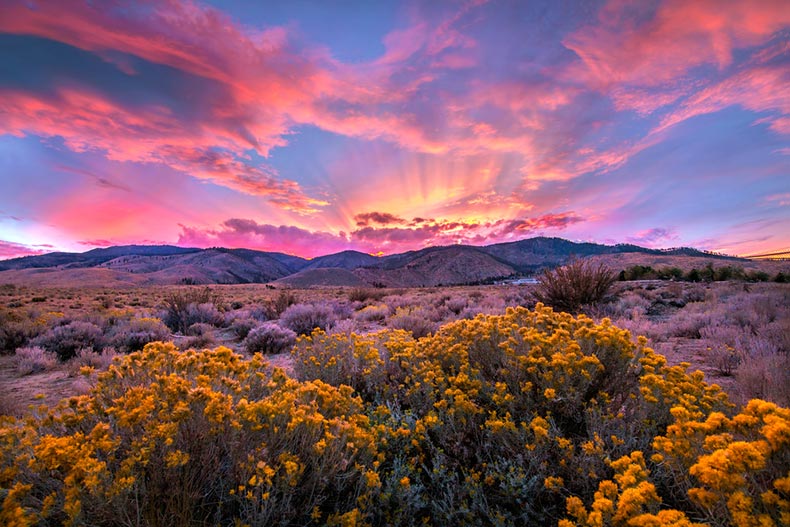 A dramatic sunset over sagebrush in the Nevada Desert