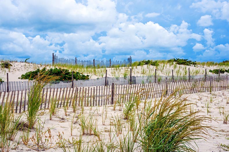 A blue sky over protected sand dunes in Seaside Park along the New Jersey coastline