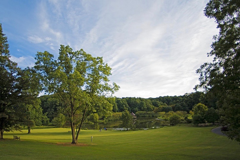 Northern Virginia is a beautiful area that has a lot to offer.