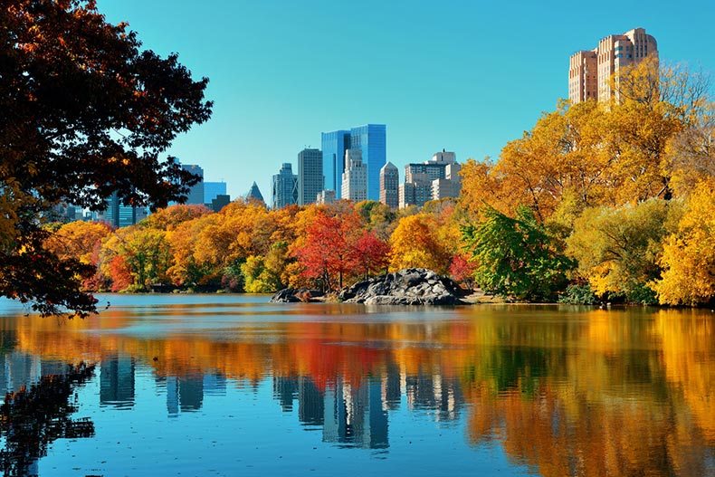 View of Central Park in New York City in autumn with midtown Manhattan in the background