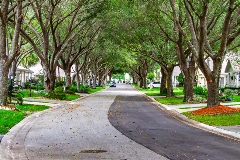 View down a tree-lined residential street at On Top of the World in Ocala, Florida