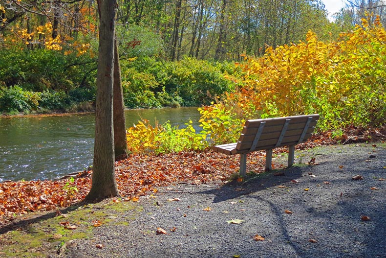 A bench surrounded by autumn foliage beside Brodhead Creek in Eastern Pennsylvania