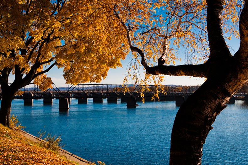 Late autumn colors in Riverfront Park along the Susquehanna River in Harrisburg, Pennsylvania