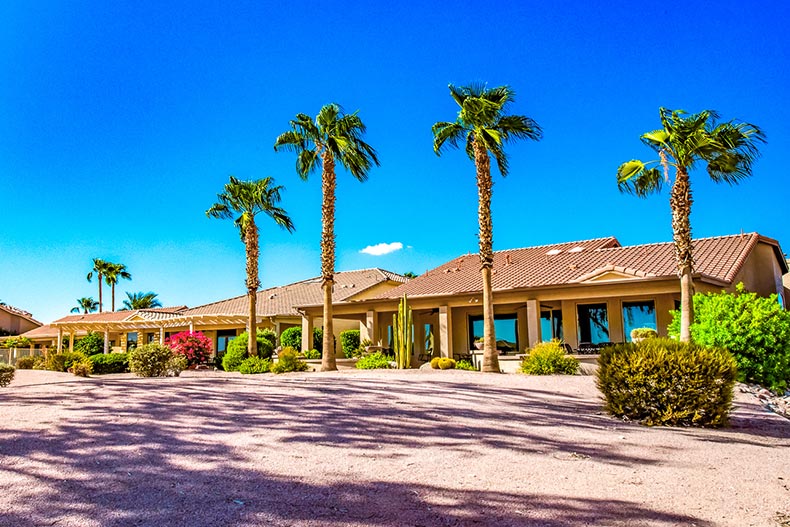Palm trees beside community buildings at PebbleCreek in Goodyear, Arizona