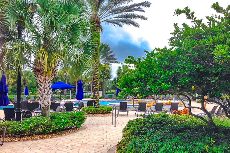 Palm trees surrounding the outdoor pool and patio at Pelican Preserve in Fort Myers, Florida