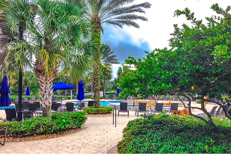 Patio and resort-style pool with greenery and trees around it in Pelican Preserve