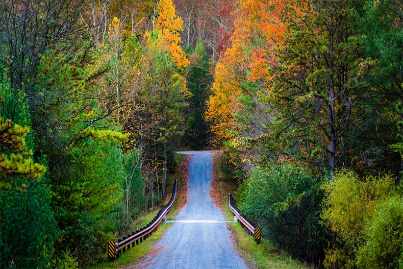 Road surrounded by autumn colors in Pennsylvania