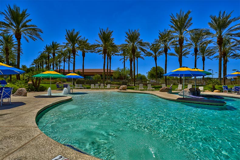 View of palm trees surrounding the outdoor pool and patio at Sun City Grand in Surprise, Arizona