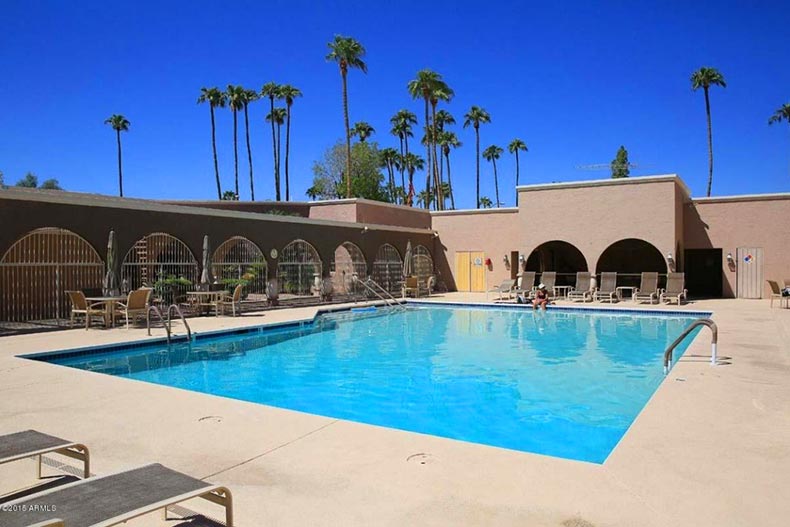 Palm trees surrounding the outdoor pool and patio at Scottsdale Shadows in Scottsdale, Arizona
