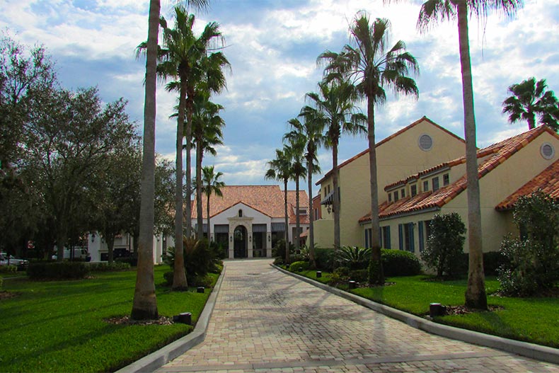 View of a brick pathway lined with palm trees leading to an amenity complex at Solivita in Kissimmee, Florida