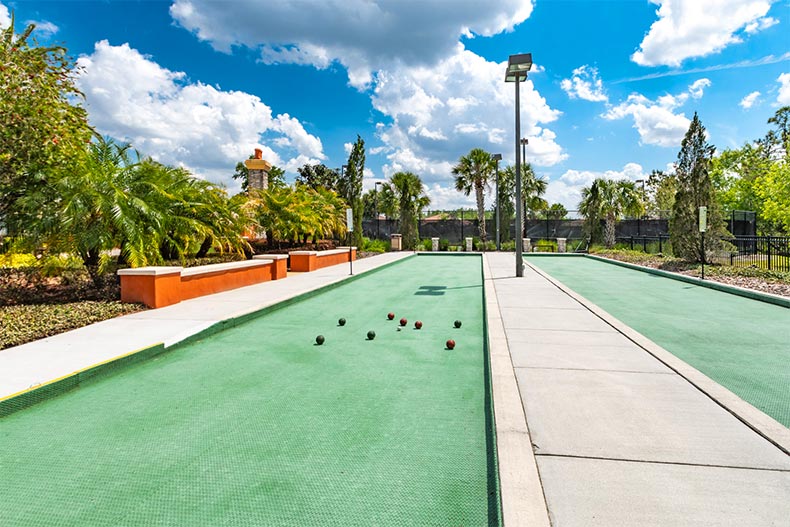 Palm trees surrounding the bocce ball courts at Solivita in Kissimmee, Florida