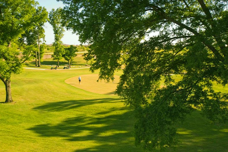 A golf course in Stone Creek viewed partially through tree branches, located in Ocala, Florida