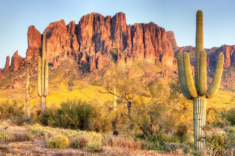 The blooming Sonoran Desert at the Superstition Mountains in Arizona