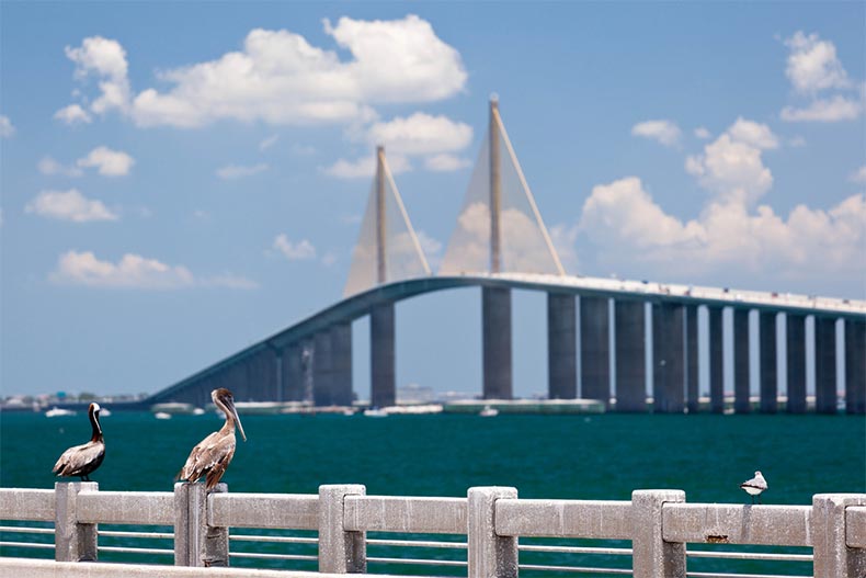 View of Sunshine Skyway Bridge over Tampa Bay in Florida