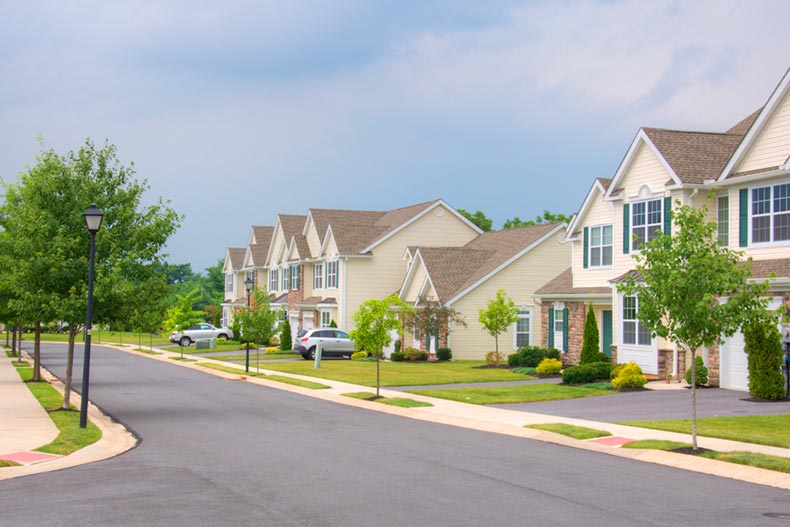 Trees lining a residential street in The Village at Maidencreek in Blandon, Pennsylvania