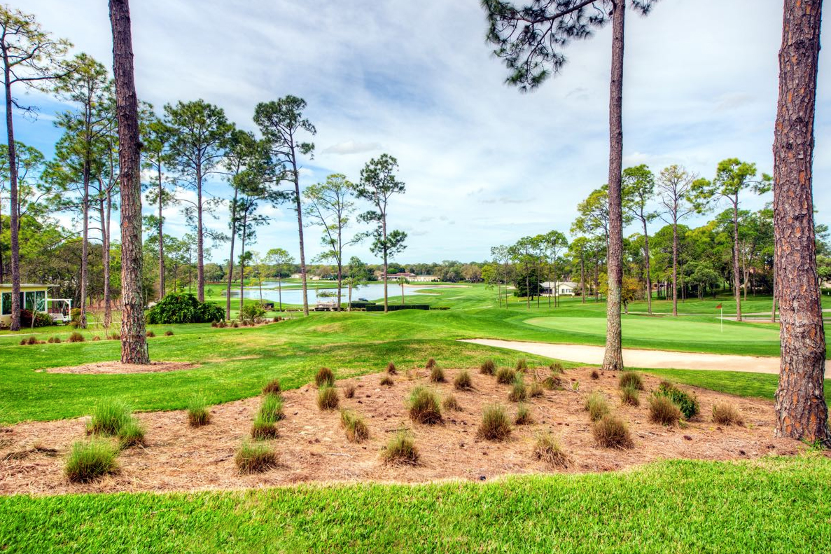 Timber Pines in Spring Hill, FL is a beautiful 55+ community that offers plenty of amenities and an active lifestyle.