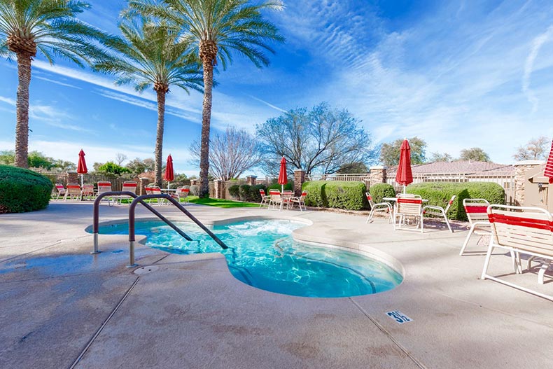 Palm trees surrounding the outdoor hot tub and patio at Trilogy at Power Ranch in Gilbert, Arizona