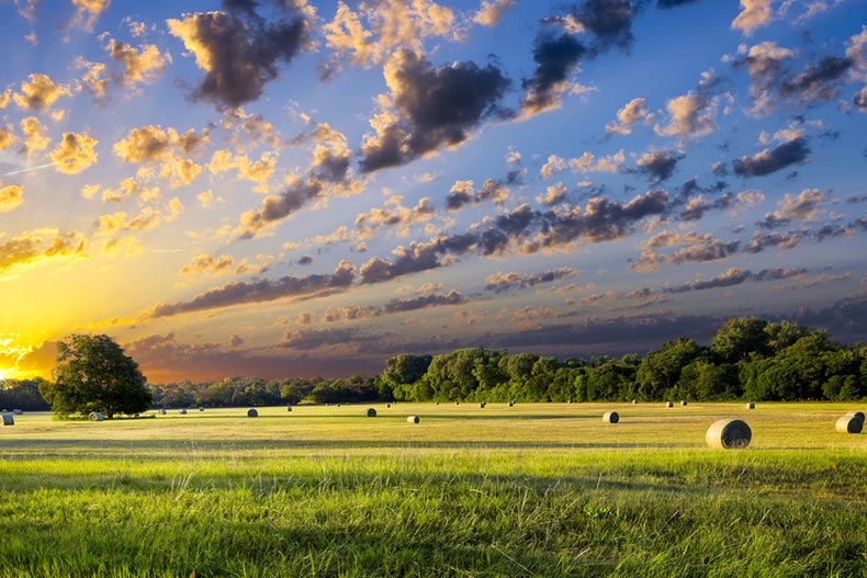 View of a tranquil Texas meadow at sunrise with hay bales strewn across the field
