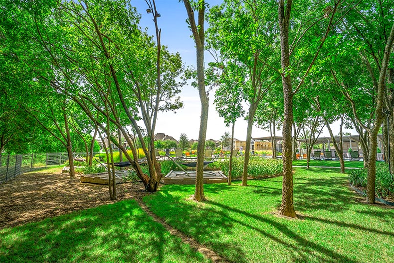 The picturesque greenery on the grounds of Del Webb at Union Park in Little Elm, Texas