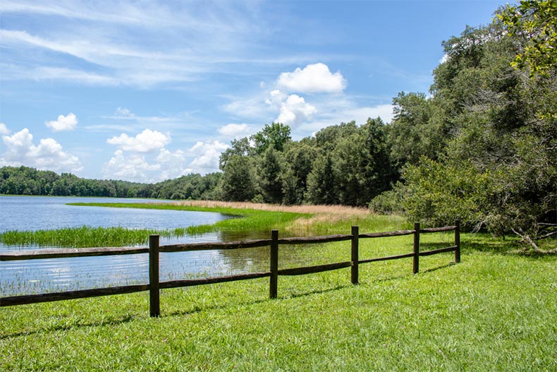 A fence along the edge of a picturesque pond in Withlacoochee Forest in Hernando County, Florida