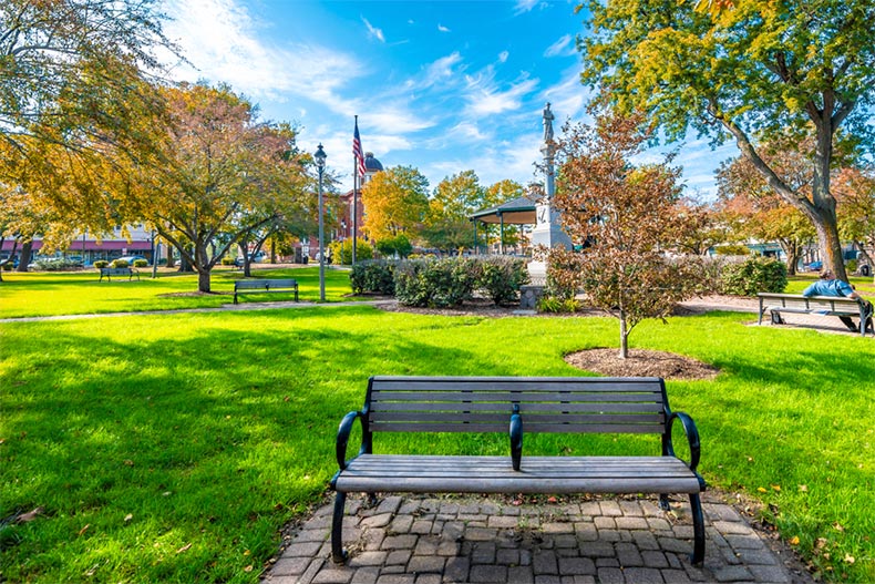 A bench and trees in Woodstock Square in Woodstock, Illinois