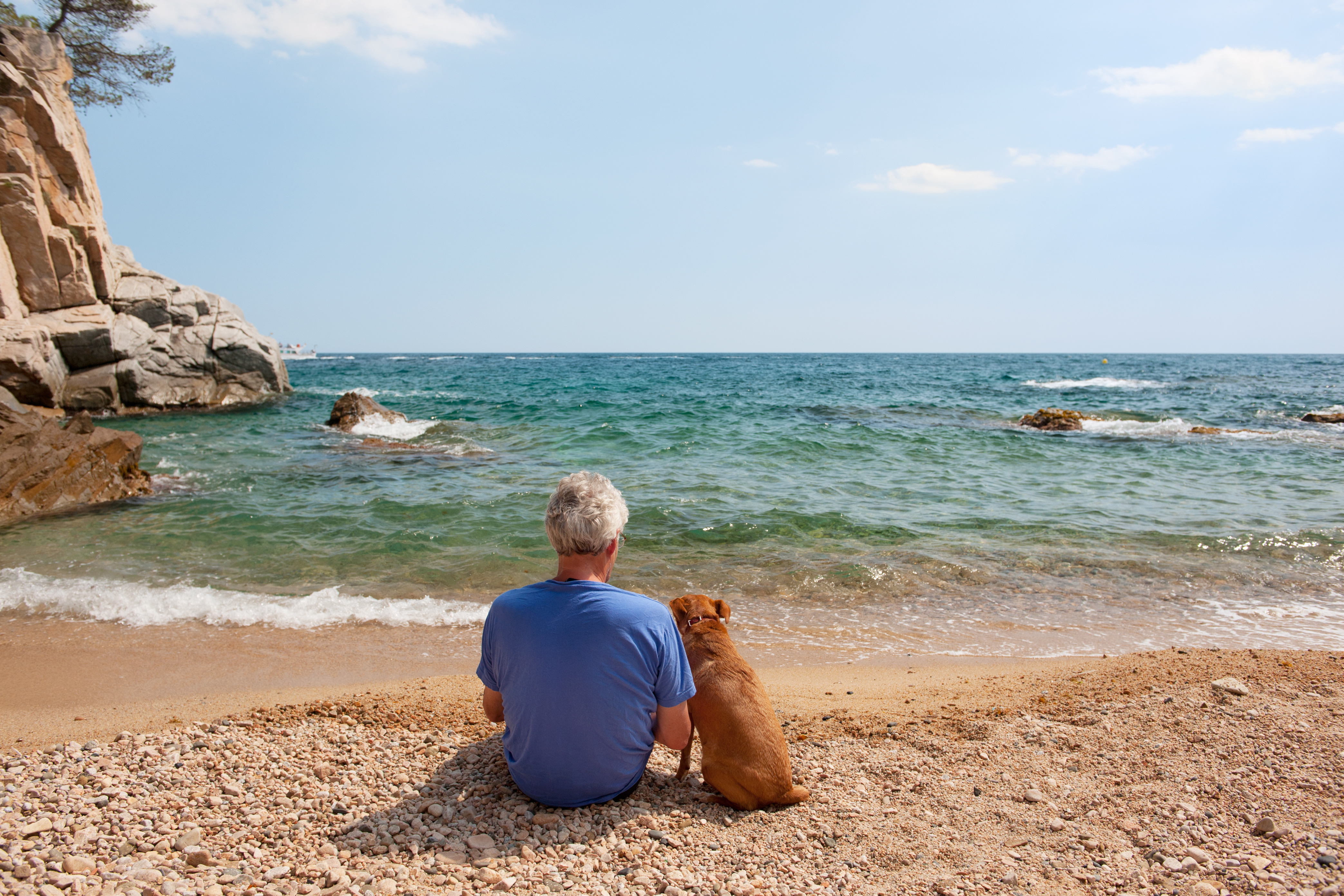 These are the 5 best dog breeds for retirees.