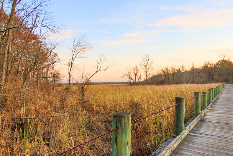 A boardwalk over a marsh at sunset in Virginia