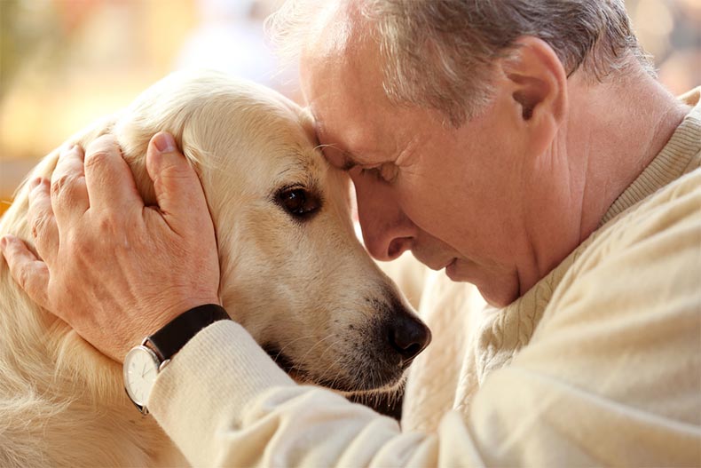 8 Retirement Hobbies For Animal Lovers 55places