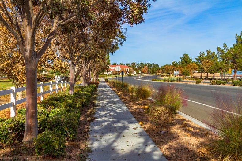 Autumn street view of Apple Valley Road in Apple Valley, California